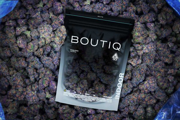 Boutiq Bulk Flowers - Boutiq Brand