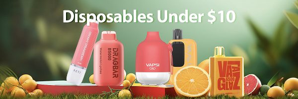 Disposable Vapes Under $10 From US Warehouse | Vapesourcing