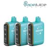 Geek Bar Pulse 15000 Mintz Edition Disposable