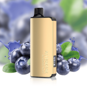 Blueberry Blast ALIBARBAR INGOT - 9000 Puffs Vape