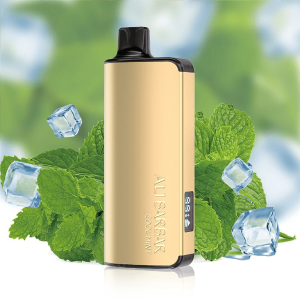 Cool Mint Strawberry ALIBARBAR INGOT - 9000 Puffs Vape