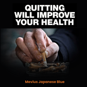 Mevius Japanese Blue (10 Packets x 20's)
